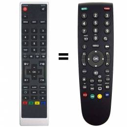 Mando a distancia Grundig YE1187R, RC-YE1